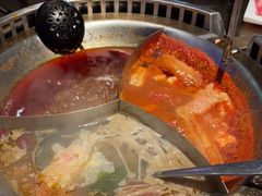 -辣伍鲜毛肚老火锅(元一店)