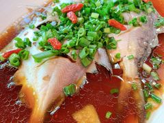 -鲨鱼醉鲜坊