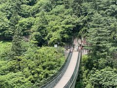 -娄山关景区