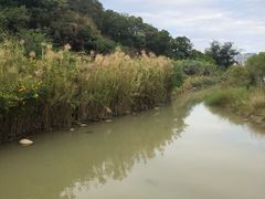 -飞凤山奥体公园