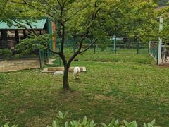 -无锡动物园·太湖欢乐园