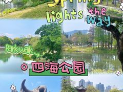 -四海公园(南山区)
