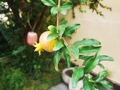 -玉舌尖私房菜(裕华店)