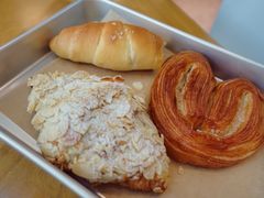 -WHEN PIGS FLY当猪飞