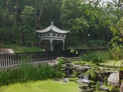 -白水寺森林公园
