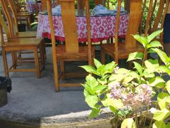 -源泉冷水鱼庄(小鱼洞店)