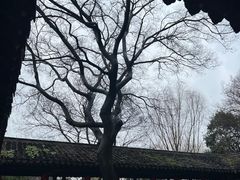 -惠山古镇·寄畅园