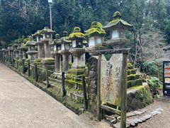 -奈良公园