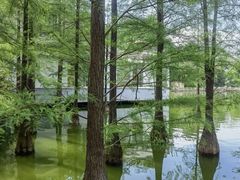 -广州市白云山风景名胜区