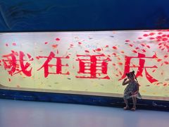 -重庆欢乐海底世界