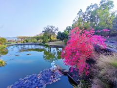 -广州莲花山旅游区