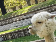 -安立路(地铁站)