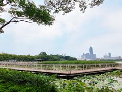 -月湖风景区