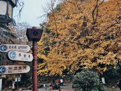 -伯先公园