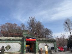 -塔尔寺-菩提树