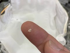 -大目猪肉丸肉饼(星湖豪景店)