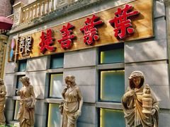 -叶叶菩提(太原别墅店)