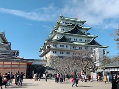-名古屋城
