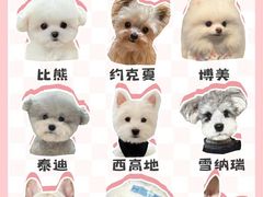 -美联众合爱康动物医院•复杂内科•肿瘤科•牙科•腔镜诊疗中心