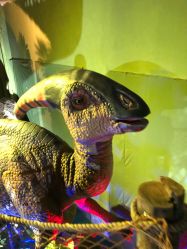 -恐龙探索乐园(磁器口店)