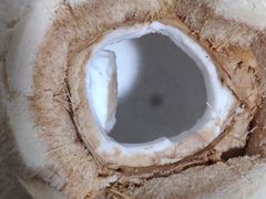 -鲜丰水果(仙霞路店)