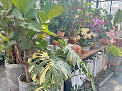 -北马山庄植趣咖啡