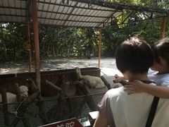 -正能量脆肉鲩火锅
