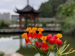 -广州神农草堂中医药博物馆