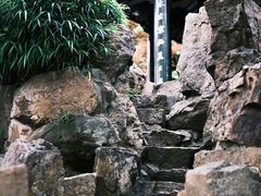 -个园