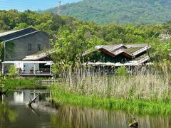 -西湖风景区-江洋畈生态公园