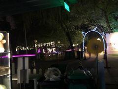 -枫花园汽车电影院(朝阳公园店)