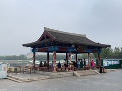 -莲花池公园