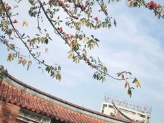 -晋江五店市传统文化旅游区