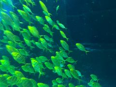 -成都浩海立方海洋公园