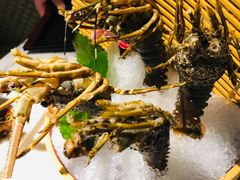 -海玥荟海鲜姿造自助餐厅(欧罗巴广场店)