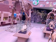 -陕西自然博物馆