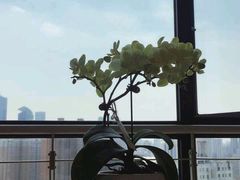 -惟初心理咨询工作室(静安分店)