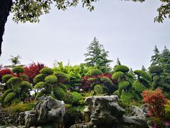 -上海鲜花港
