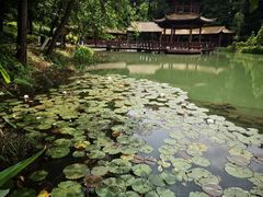 -铁山坪森林公园