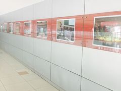 -苏州市姑苏区少年宫(沧浪分部)