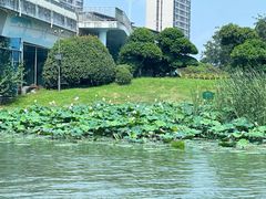 -扬州古运河