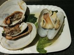 南极贝，小象蚌-船奇蒸汽海鲜·闽菜(八市海鲜总店)