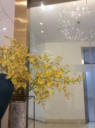 -潘多拉Hairsalon
