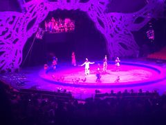 iphone_upload_pic-珠海横琴长隆《卡卡虎奇遇记》