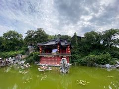 -老赵面店(大西路店)