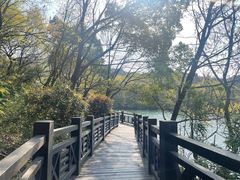 -白马涧龙池景区