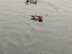 -后海公园