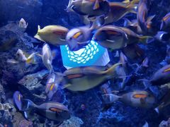 -成都浩海立方海洋公园