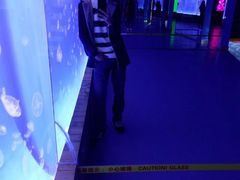 -多彩贵州城极地海洋世界