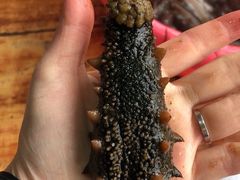 -大连熟食品交易中心